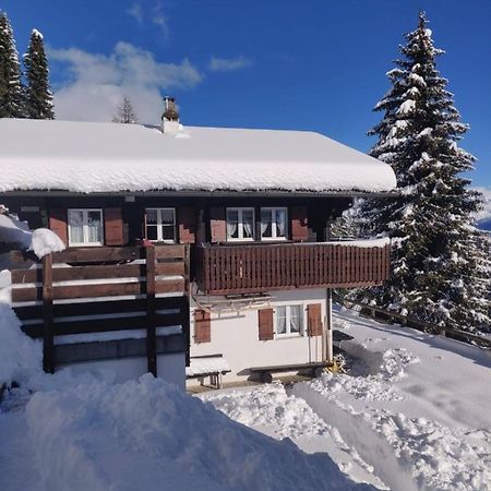 Chalet Grazia Riederalp Buitenkant foto