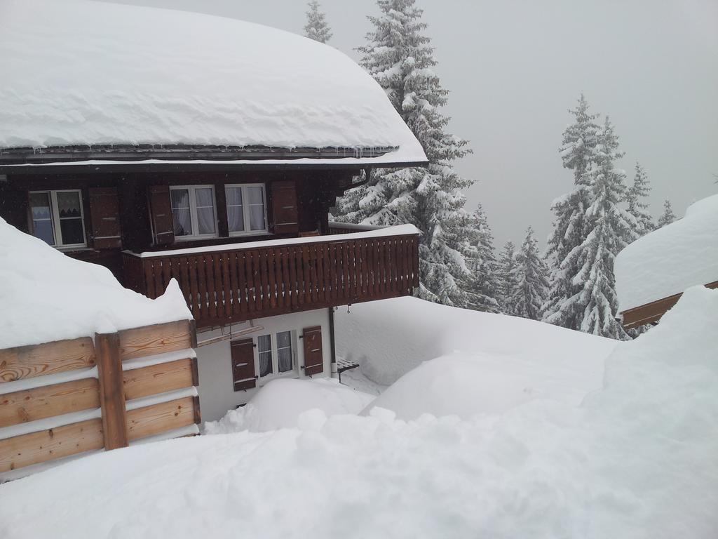 Chalet Grazia Riederalp Buitenkant foto