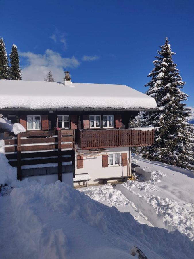 Chalet Grazia Riederalp Buitenkant foto